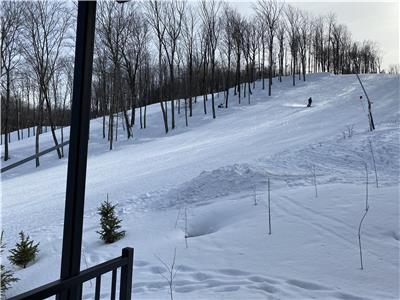 Condos Bromont- Arborescence Project