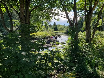 Chalet bord de rivire