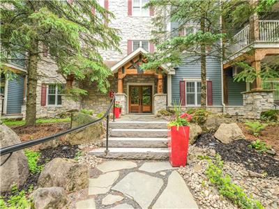 Superb Ski-in, Ski-out Mountain Flank Condo