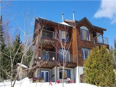 Htel  la maison - L'Arlsien, aire du Massif