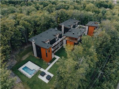 *** Au Pied du Mont-Orford *** Condo avec Feu de Foyer, Spa, Piscine Creuse! Tltravail en nature