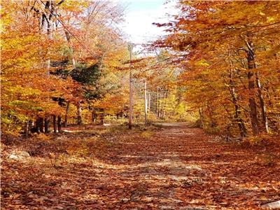 CHALET PERLA BLANCA - Nature/ Relaxation/- Cascades Rawdon a 5 min.