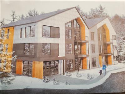 CONDO OWL'S HEAD WATERSIDE, MEMPHREMAGOG LAKE, GOLF, SKI IN/SKI OUT