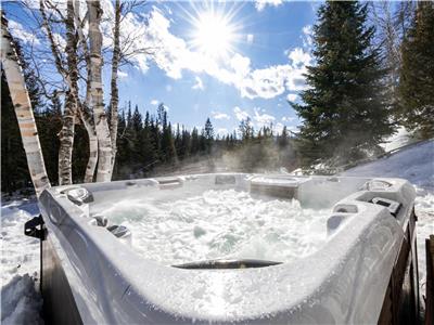 Grand chalet au bord de la rivire spa et table de pool