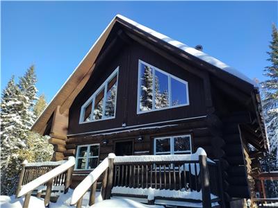 Chalet  Bois Vivant