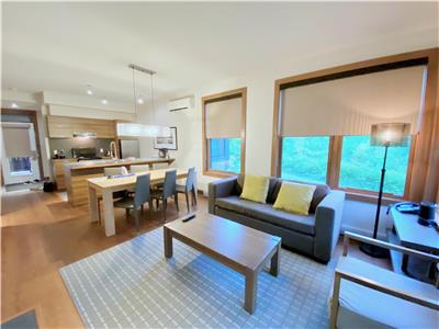 Lac-Suprieur modern 2 bedroom condo with lake view, sleeps 6 (short drive to Mont Tremblant North)