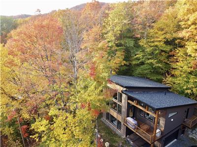 Chalet Le Treetop