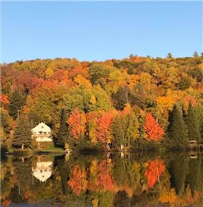 Chalet Kilkenny. Bord de l'eau.