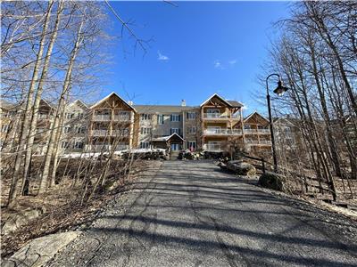 Magnificent fully equipped mountain condo in Bromont