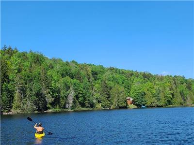 *Le Geai-Bleu*  peaceful lake for swimming, bright garden, high speed internet