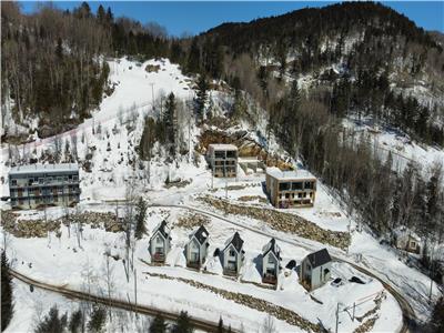 Condo Ski-in / Ski-out Habitat des Contreforts