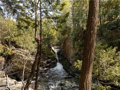 Le Paradis de la Chute Secrte