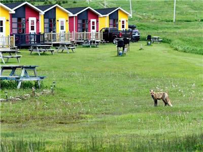 Chalets sur plage Aurore - Trsor naturel