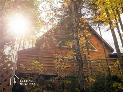 * PASSION CHALETS * | LE GIVRE DES BOIS | SPA - RIVIRE - KAYAKS - FOYERS - VERANDA - NATURE