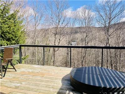 SUTTON petit CHALET SPA prive - 1 chambre - Proximit des pistes de ski du Mont Sutton