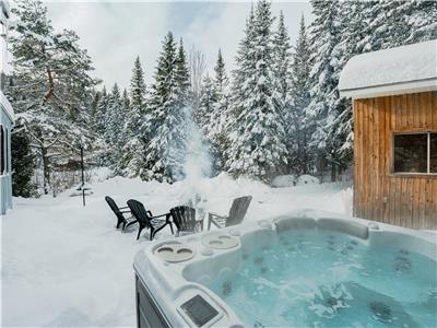 Cozy Chalet - SPA | Fireplace | TV | Wifi - 7 minutes from the SKI!