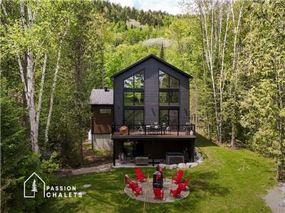 PASSION CHALETS | LE NOK | SPA - BUBBLE SAUNA - BILLIARD - ARCADE - FIREPLACE - SKI - SCANDINAVIAN