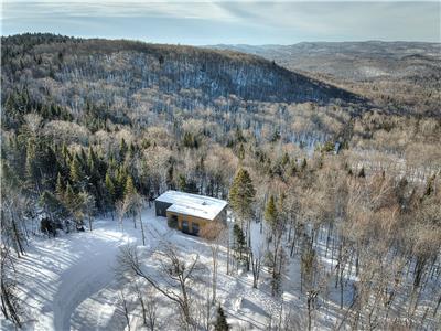 Exceptional Scandinavian-style chalet