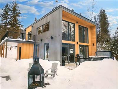 Lumière / Ski in / Foyer / Lit King / Plancher chauffant /Chien / Borne