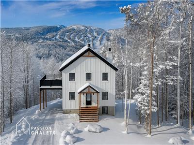 * PASSION CHALETS * | LE FORT | SPA PRIVÉ - SKI - ARCADE - BILLARD - BBQ - FOYERS