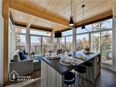 *PASSION CHALETS* | ORIZON | MODERNE - VUE RIVIÈRE - BBQ - SPA - FOYER EXTÉRIEUR - BORNE ÉLECTRIQUE