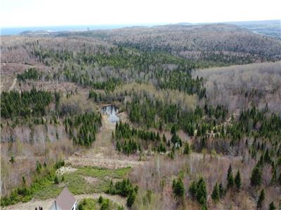 Terre de chasse et Chalet a vendre a port Daniel Gascon