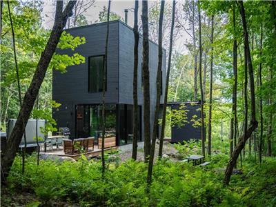 Canopée - Expérience en forêt