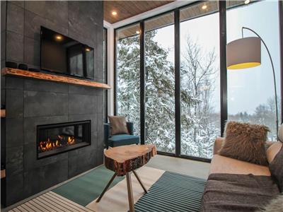 Metis 13: Lumineux contemporain spa et foyer