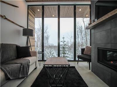 Héméra 15: Chalet spacieux avec spa et foyer