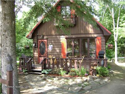 Located in the village of St-Sauveur 1 minute from the ski hills