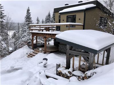 Au Chalet du Ruisseau, SPA, Foyer, Accs au Lac, Quai, Nature