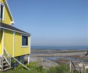 Le Jaune Moutarde