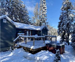Petit Ours - Chalet au bord du lac Libby