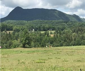 Chalet Estrie