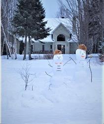 Chalet Black on White-private beach directly on Come Lake - beautiful place to enjoy fall season