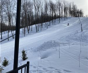 Condos Bromont- Arborescence Project