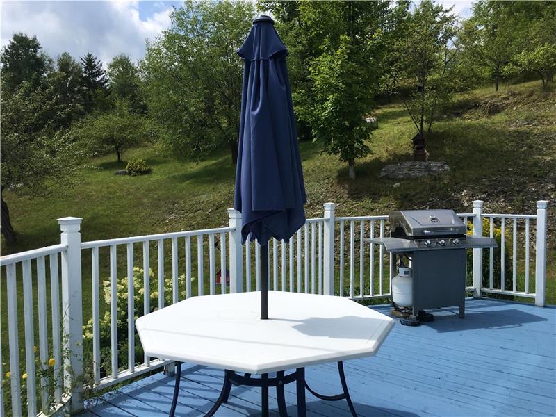 La Maison Bleue Chalet à louer StVenantdePaquette DI17139