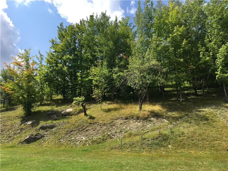 La Maison Bleue Chalet à louer StVenantdePaquette DI17139