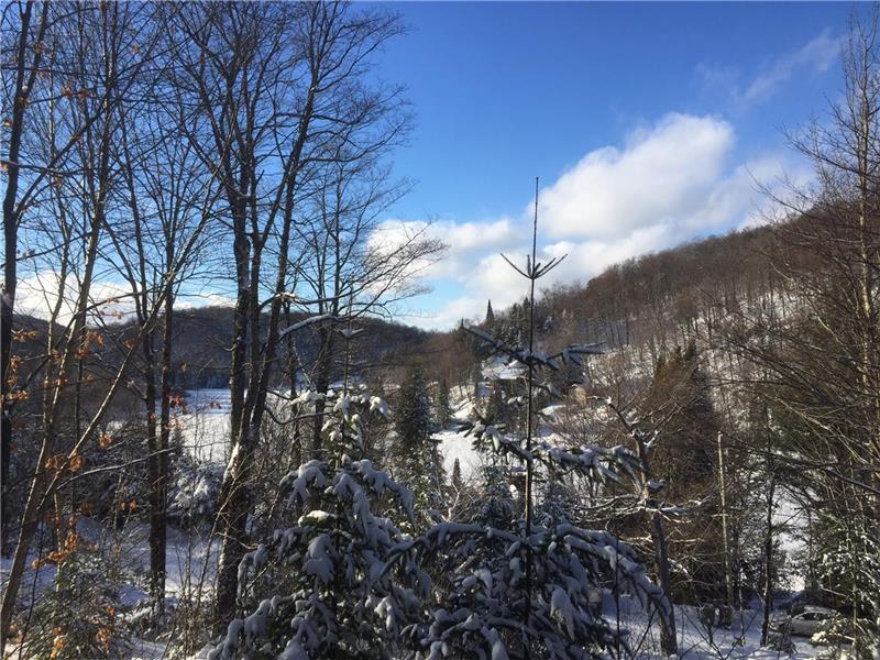 Chalet Orion Chalet à louer StAdolphed'Howard PL17712