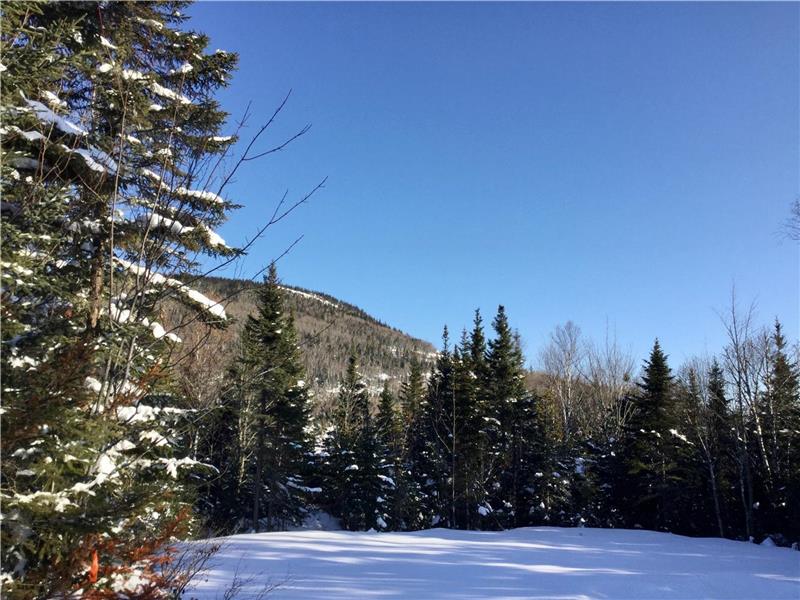 La Chic Tanière TOUT NEUF SPA Chalet à louer PetiteRivièreSaint