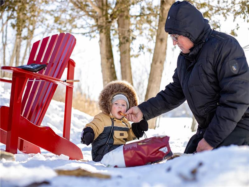 Cottage for rent on the edge of the StRemideTingwick Cottage