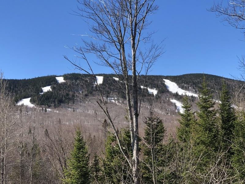 Chalets Le Forestier (3), 16 Chalet à louer StPhilémon DI33544