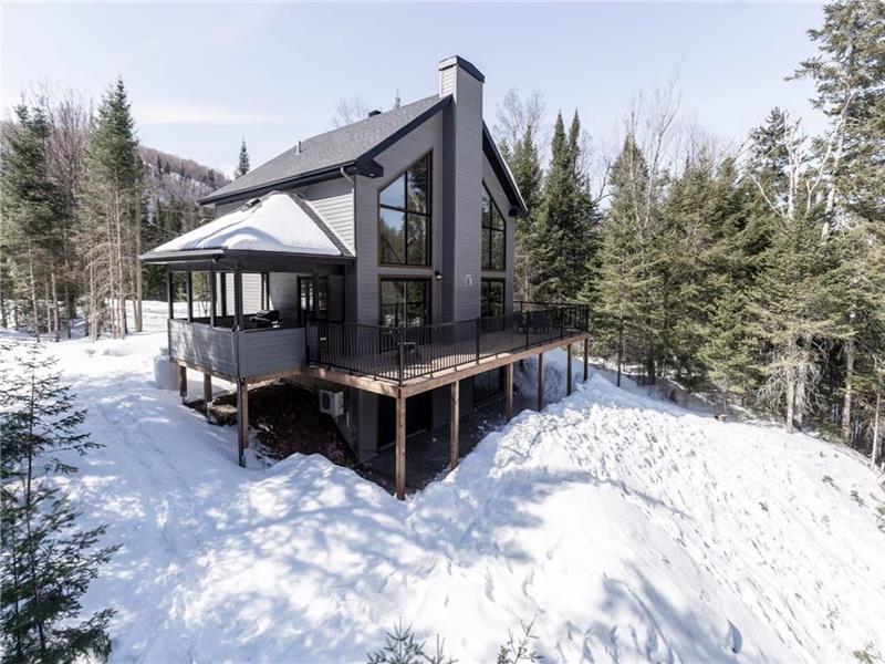 La Falaise SPA Chalet à louer StAdolphed'Howard DI35765