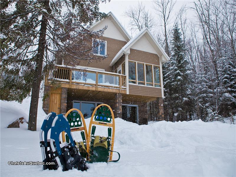 Chalet TourduLac Chalet à louer StFaustinLacCarré DI8240