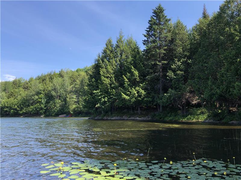 La Salamandre, plage privée, 200' Chalet à louer Dudswell DI9030