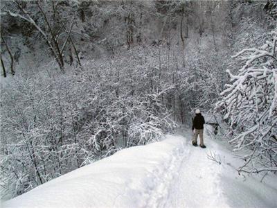 Your dream cottage is here, Chalet Lacoss