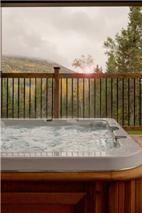 La Chic Tanière - TOUT NEUF - SPA
