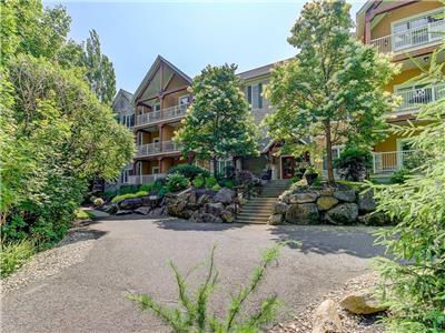 Condo-Chalet en montagne (idéal pour snowbird)